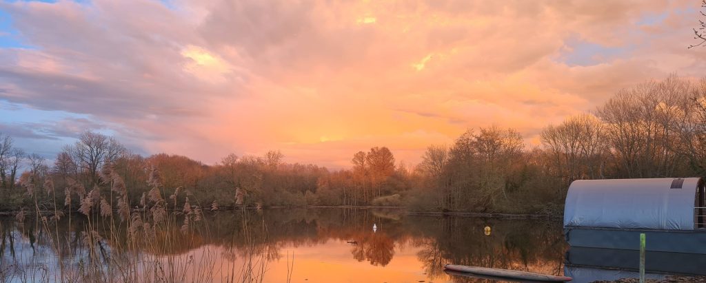 etang des landes, paysage