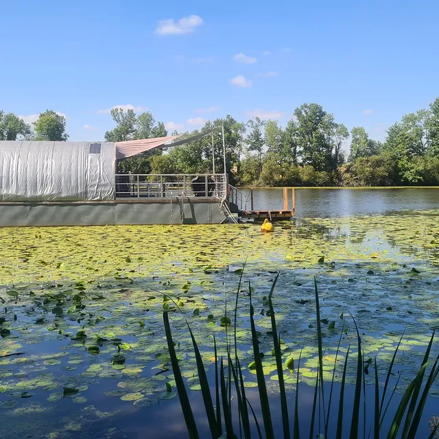 l'etang des landes
